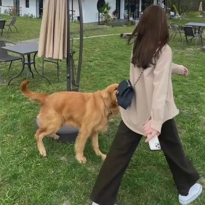 死党们
